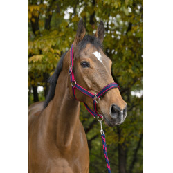 Caveção + guia Equitheme Satinado Marinho / fúcsia Azul Caveção + guia Equitheme Satinado Marinho / fúcsia Azul