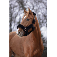 Caveira Equithème Teddy rosa dourado Preto Caveira Equithème Teddy rosa dourado Preto