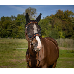 Máscara anti-moscas Equithème Training