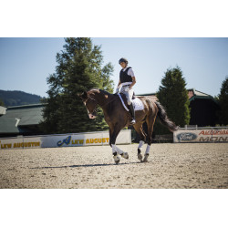 Colete de proteção Komperdell Frontzip Slim Preto