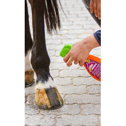 Limpeza rápida de pelagem Equinatura Limpeza rápida de pelagem Equinatura