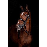 Rendas de bridão Eric Thomas Elite 13 mm Preto