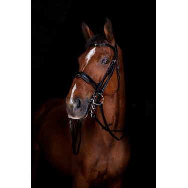 Rendas de bridão Eric Thomas Elite 13 mm Preto