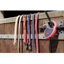 Coleira de nylon Diego & Louna para cão Coleira de nylon Diego & Louna para cão