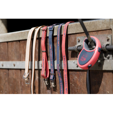 Coleira de nylon Diego & Louna para cão Coleira de nylon Diego & Louna para cão