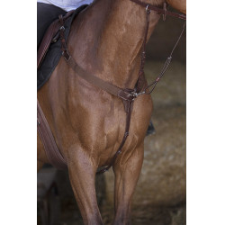 Peitoral elástico Norton Pro Havana Castanho