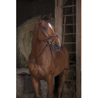 Rédias de borracha Norton Pro Havana Castanho Rédias de borracha Norton Pro Havana Castanho