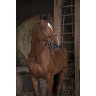 Rédias de borracha Norton Pro Havana Castanho