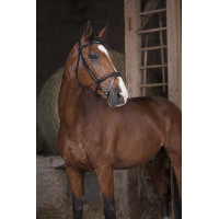 Bridão Norton Pro Combinado