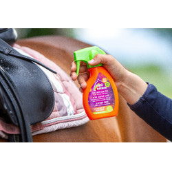 Cuidados rápidos para couro Equinatura