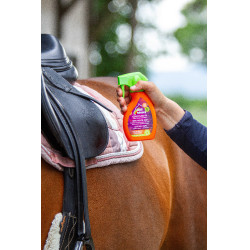 Cuidados rápidos para couro Equinatura