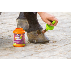 Óleo para cascos Equinatura com pincel 450 mL Óleo para cascos Equinatura com pincel 450 mL