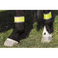 Bandagens amarelas refletoras para os posteriores