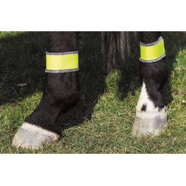 Bandagens amarelas refletoras para os posteriores Bandagens amarelas refletoras para os posteriores