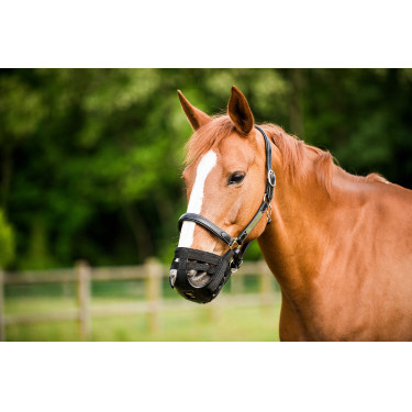 Cesta focinheira Norton