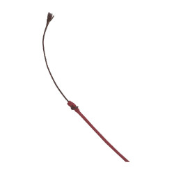 Chicote de adestramento Whip & Go com cabo de plástico Bordéus Bord&amp;amp;amp;amp;amp;ocirc;