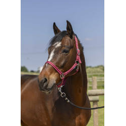 Cabresto Norton Grooming Bordéus Bord&amp;amp;amp;amp;amp;ocirc;