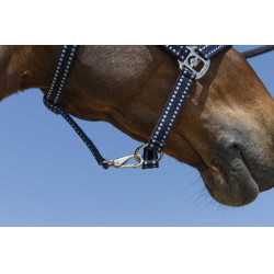 Cabresto Norton Grooming Azul-marinho
