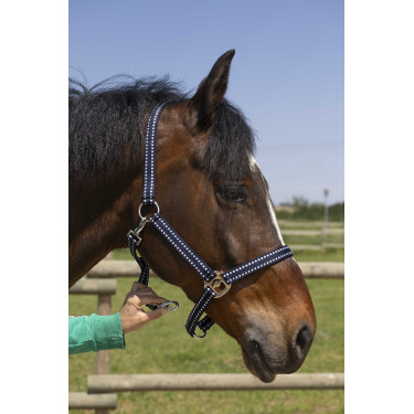 Cabresto Norton Grooming Azul-marinho