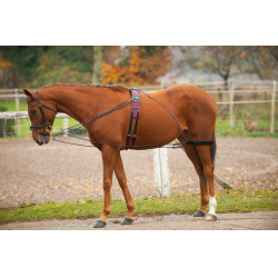 Enrêno de roldanas Norton