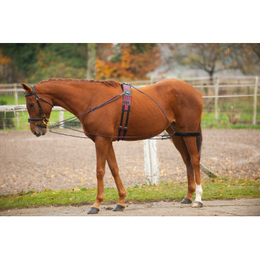 Enrêno de roldanas Norton