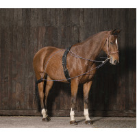 Enrêno de roldanas Norton