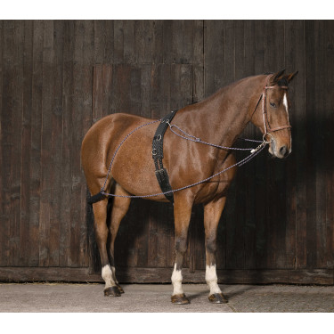 Enrêno de roldanas Norton