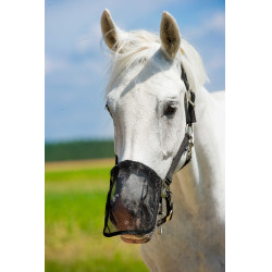 Protetor de narinas em malha anti-moscas
