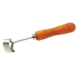 Renette anular Renette anular