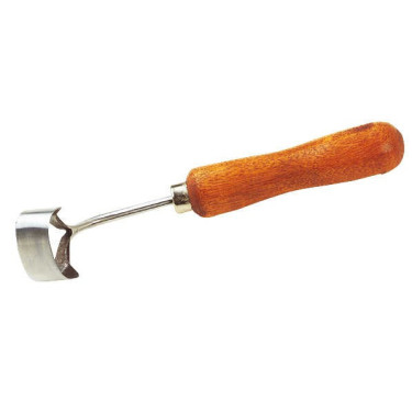 Renette anular Renette anular