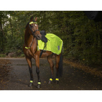 Cobre-rins refletivo Cobre-rins refletivo