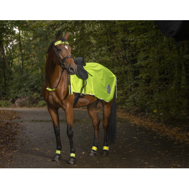 Cobre-rins refletivo