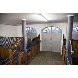 Câmera IPCam 360 FHD 1080p Kerbl