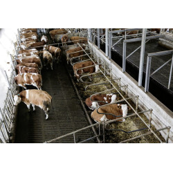 Câmera IPCam 360 FHD 1080p Kerbl