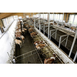 Câmera IPCam 360 FHD 1080p Kerbl