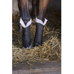 Guêtres de descanso Norton