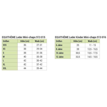 Mini-perneiras Equithème couro