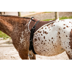 Almofada de Montaria à Cru Norton Soft Almofada de Montaria à Cru Norton Soft