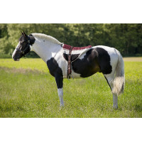 Tapete de montar a pelo Norton