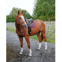 Tapete GEM Ten Uva Violeta