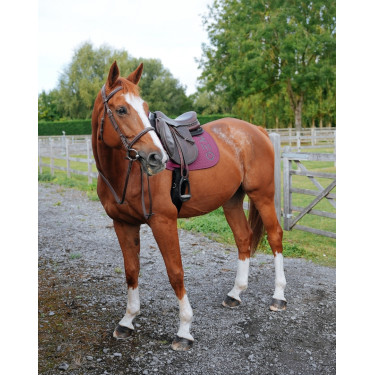 Tapete GEM Ten Uva Violeta