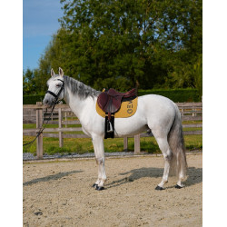 Tapete GEM Ten Especiaria