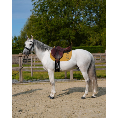 Tapete GEM Ten Especiaria