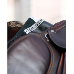 Amortecedor GEM Oscar Preto / prateado