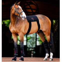 Guêtres de terapia Horseware com luzes LED vermelhas Preto / preto Guêtres de terapia Horseware com luzes LED vermelhas Preto / preto