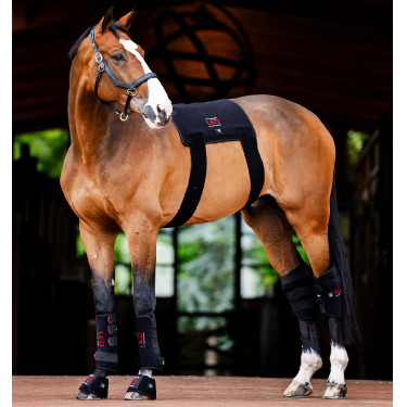 Guêtres de terapia Horseware com luzes LED vermelhas Preto / preto Guêtres de terapia Horseware com luzes LED vermelhas Preto / preto