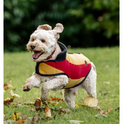 Manta polar Horseware Newmarket para cão Ouro branco