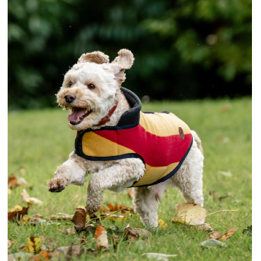 Manta polar Horseware Newmarket para cão Ouro branco