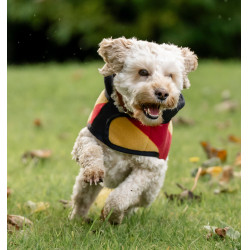 Manta polar Horseware Newmarket para cão Ouro branco