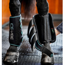 Guêtres Horseware Ice-Vibe Preto / aqua Guêtres Horseware Ice-Vibe Preto / aqua